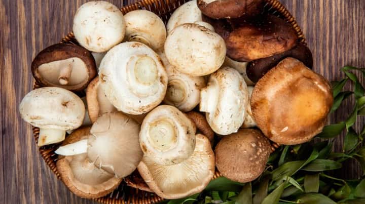 शरीर में विटामिन डी की कमी होने पर मशरूम का सेवन करने की सलाह दी जाती है। मशरूम में विटामिन डी की अच्छी मात्रा पाई जाती है। खजूर में विटामिन डी सहित कई पोषक तत्व होते हैं। इसके अलावा, सूखे मेवे भी विटामिन डी की कमी को दूर करने में सहायक साबित होते हैं।