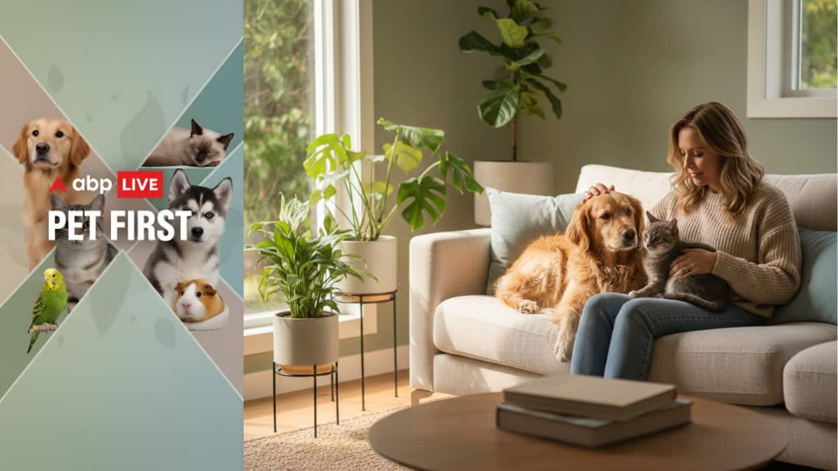 ABP Live Pet First: 7 Signs Of Stress In Pets And How To Calm Them Naturally