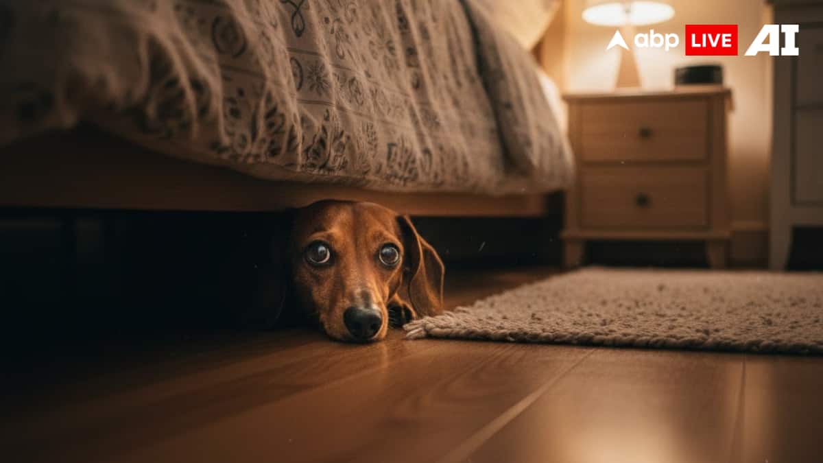 (Image Source: ABPLIVE AI)