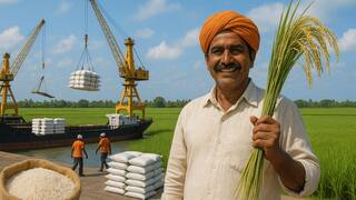 Basmati Rice Exports : ইরানে অস্থিরতার প্রভাব পড়ল ভারতের বাসমতি চাল রফতানিতে, লেনদেনে বিলম্ব; দেশীয় বাজারে দ্রুত কমছে দাম !