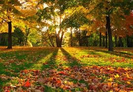 सूर्याच्या उत्तरायणानंतर हिवाळा संपत येतो. आणि शरद ऋतूची सुरुवात होत असते.