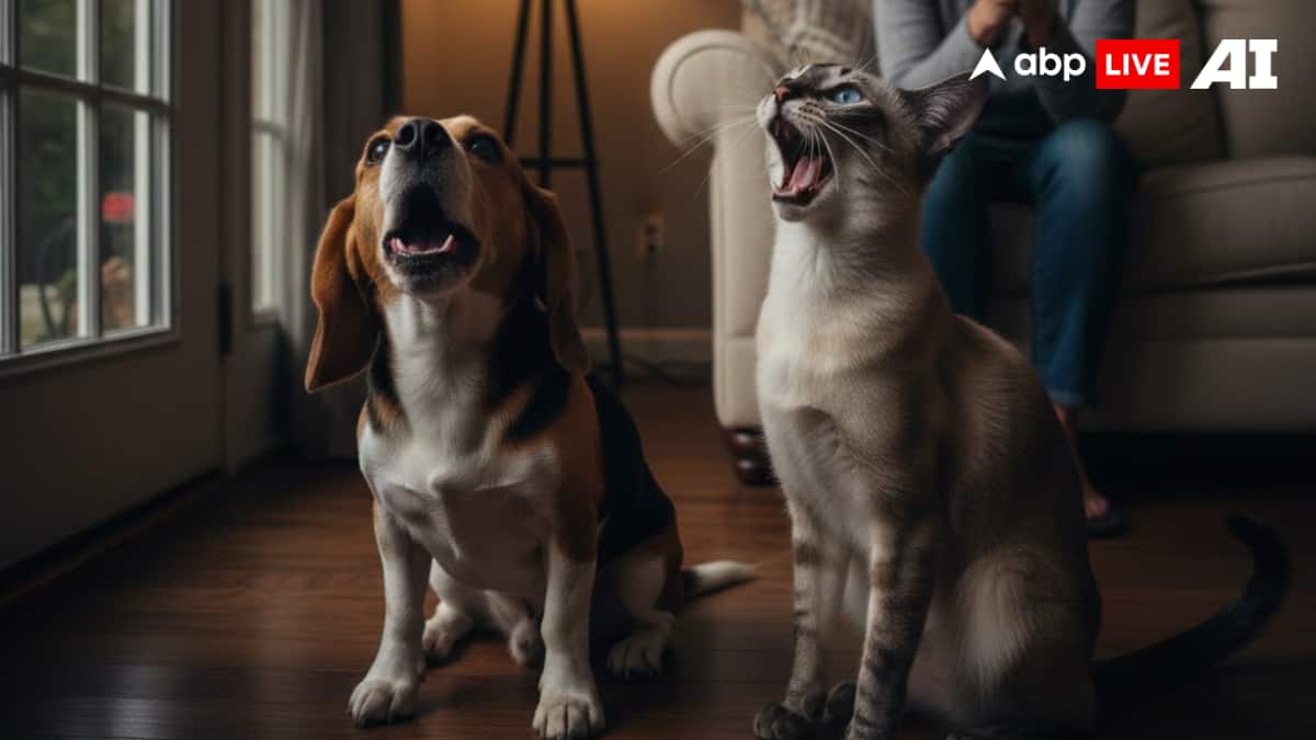 (Image Source: ABPLIVE AI)