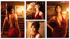 'ધુરંધર' એક્ટ્રેસ સારાના બદલાયા તેવર, બેકલેસ ડ્રેસમાં ફ્લૉન્ટ કર્યું કિલર ફિગર, લૂક પર ફેન્સ ફિદા