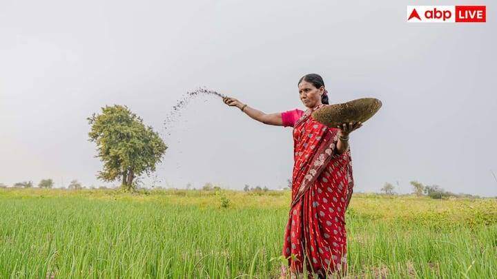 ખેડૂતોના મનમાં સૌથી મોટો સવાલ એ છે કે ખાતામાં પૈસા ક્યારે આવશે? અત્યાર સુધી સરકાર દ્વારા કોઈ સત્તાવાર તારીખની જાહેરાત કરવામાં આવી નથી. જોકે, યોજનાના ઇતિહાસ અને 4 મહિનાના સમયગાળાની સાયકલને જોતા, નિષ્ણાતો માની રહ્યા છે કે February 2026 માં આ હપ્તો ખેડૂતોના ખાતામાં ટ્રાન્સફર થઈ શકે છે. સામાન્ય રીતે જાન્યુઆરીના અંત અથવા ફેબ્રુઆરી-માર્ચ દરમિયાન આ રકમ જમા થતી હોય છે.