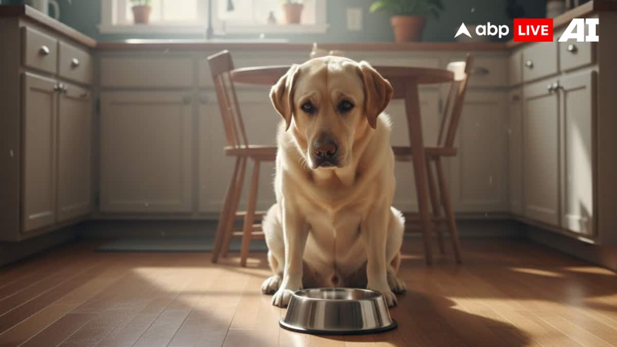 (Image Source: ABPLIVE AI)