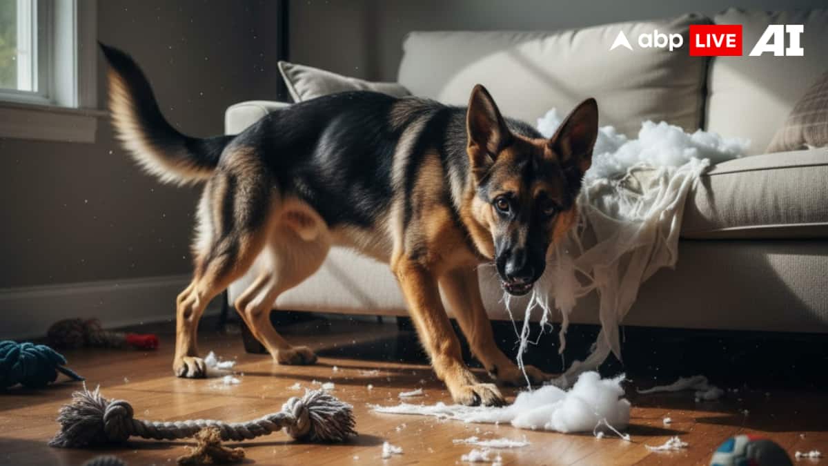 (Image Source: ABPLIVE AI)