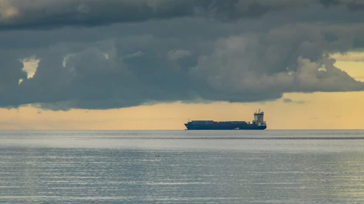 The Art of Baking: From Classic Bread to Artisan Pastries