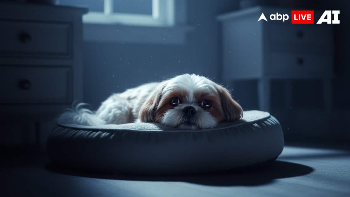 (Image Source: ABPLIVE AI)