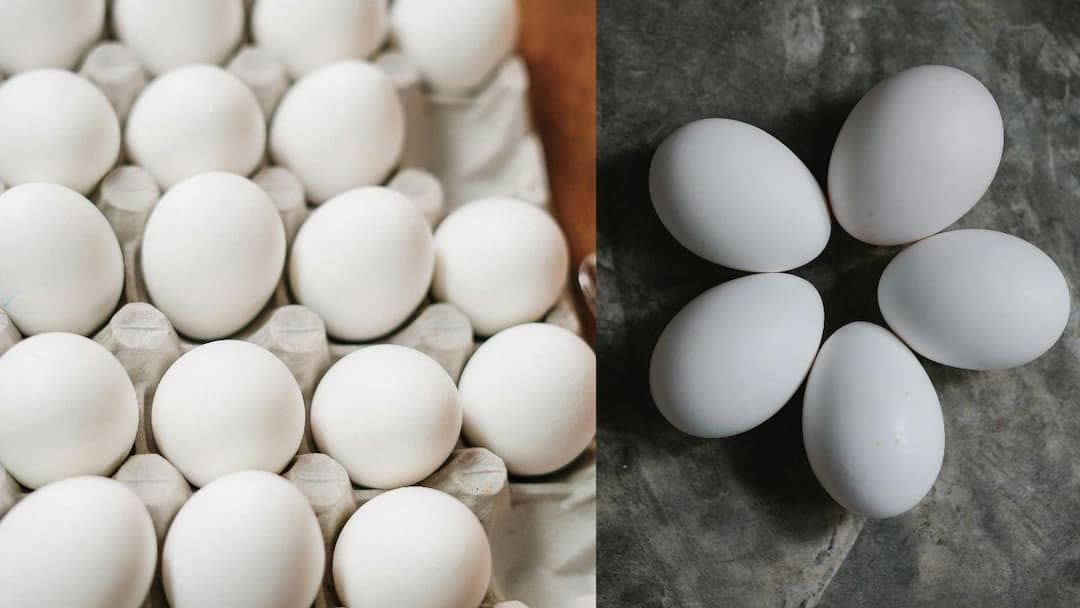 Boiled Eggs: வேக வைத்த முட்டைகளை எத்தனை நாட்கள் வைத்திருந்து சாப்பிடலாம் தெரியுமா?