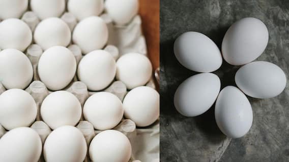 Boiled Eggs: வேக வைத்த முட்டைகளை எத்தனை நாட்கள் வைத்திருந்து சாப்பிடலாம் தெரியுமா? Boiled Eggs: வேக வைத்த முட்டைகளை எத்தனை நாட்கள் வைத்திருந்து சாப்பிடலாம் தெரியுமா?