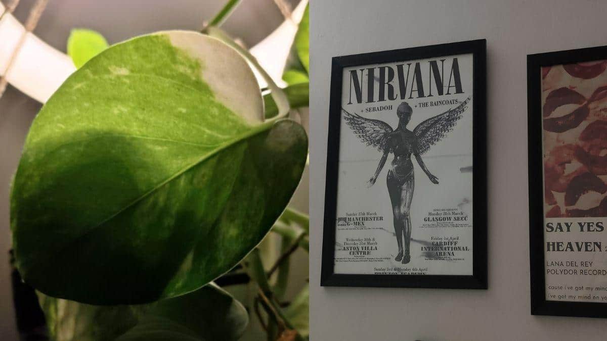 Gadgets Review | Poco M8 5G: Gets The Basics Right, But Stumbles On Sound