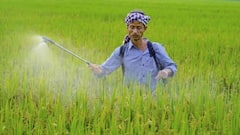 PM Kisan 22nd Installment: ફેબ્રુઆરીમાં આવશે પૈસા ? આ ભૂલ કરી તો અટકી જશે ₹2,000 નો હપ્તો