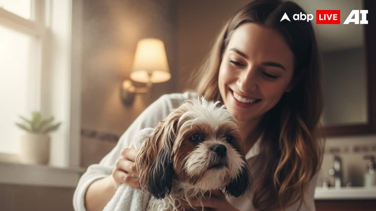 (Image Source: ABPLIVE AI)