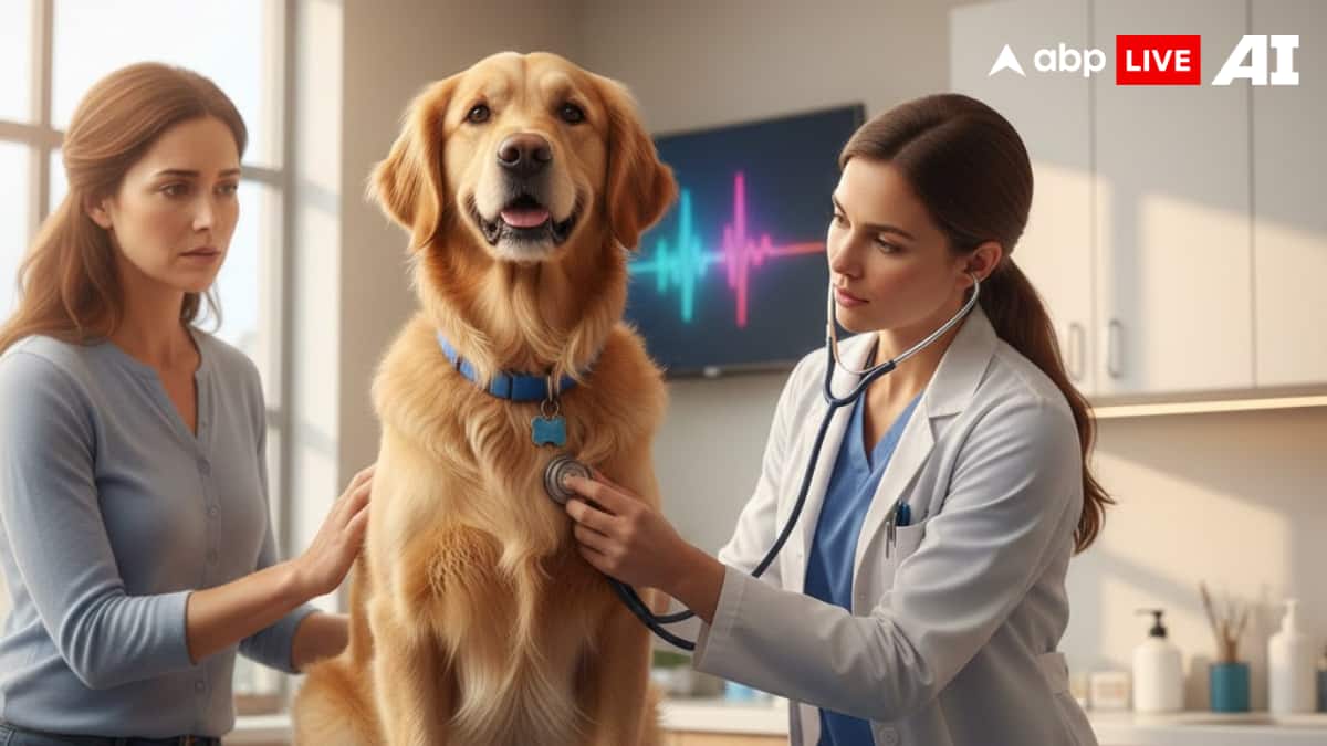 (Image Source: ABPLIVE AI)