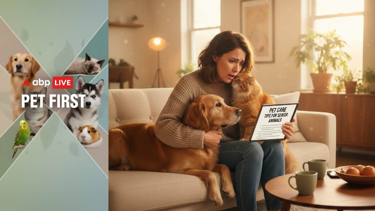 ABP Live Pet First | 7 Dangerous Pet Care Myths You Must Stop Believing Right Now