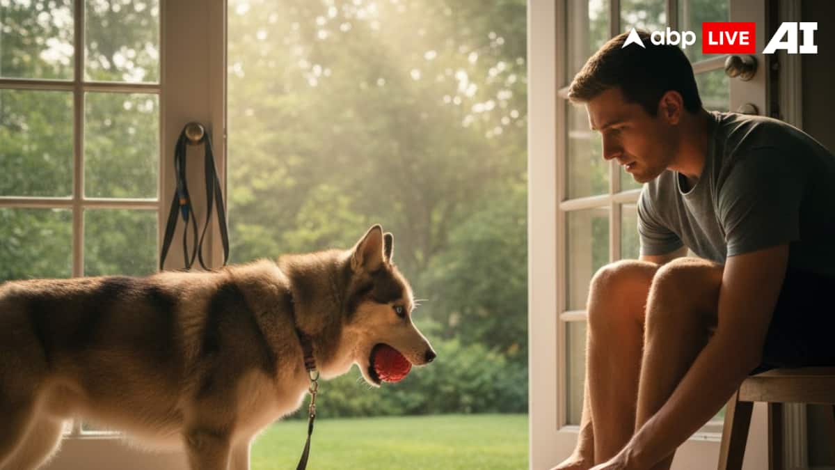 (Image Source: ABPLIVE AI)