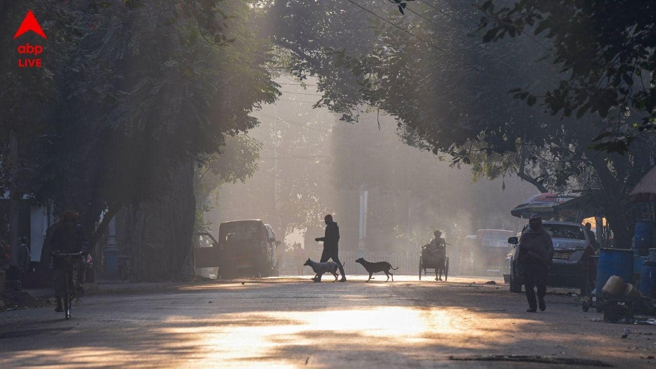 West Bengal Weather : পশ্চিমবঙ্গ থেকে বিদায় নিচ্ছে কনকনে ঠান্ডা ? বড় পূর্বাভাস IMD-র