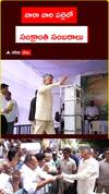 Cm Chandrababu in Sankranti celebrations