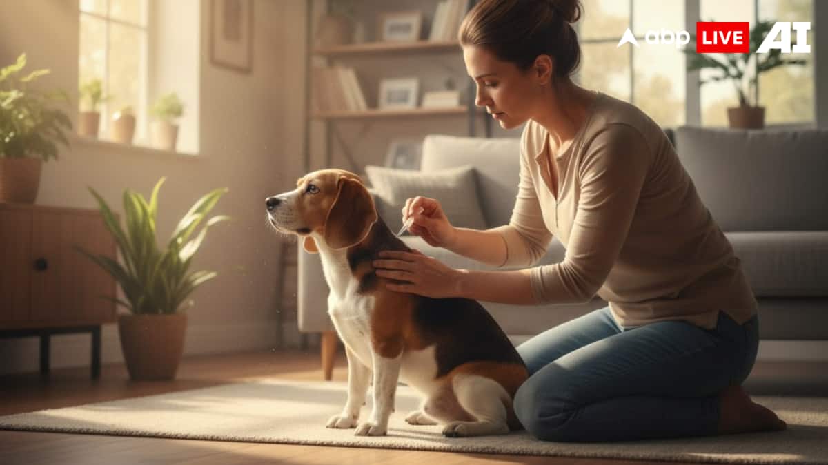 (Image Source: ABPLIVE AI)