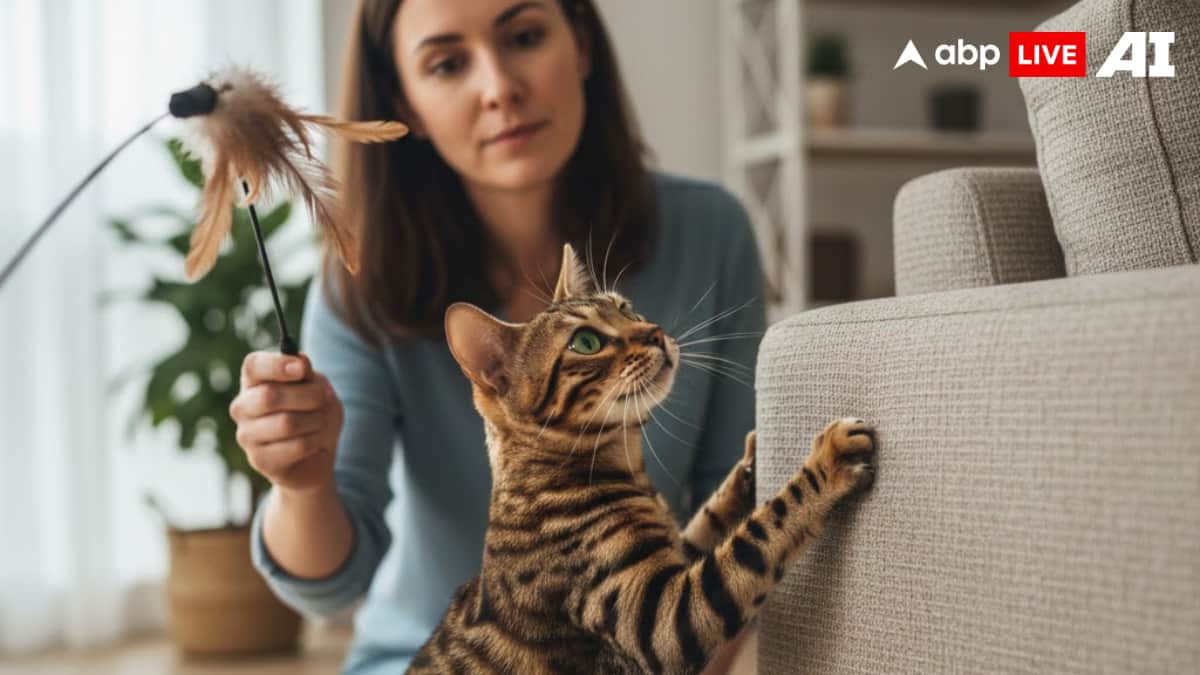 (Image Source: ABPLIVE AI)