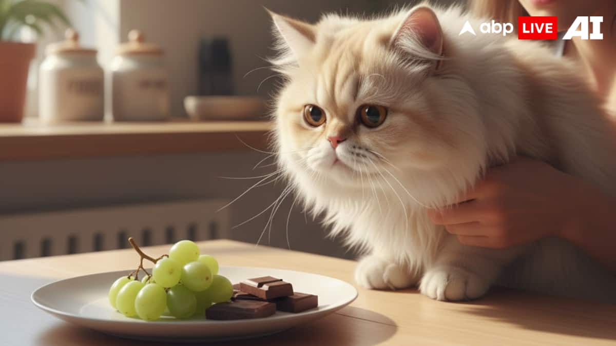 (Image Source: ABPLIVE AI)