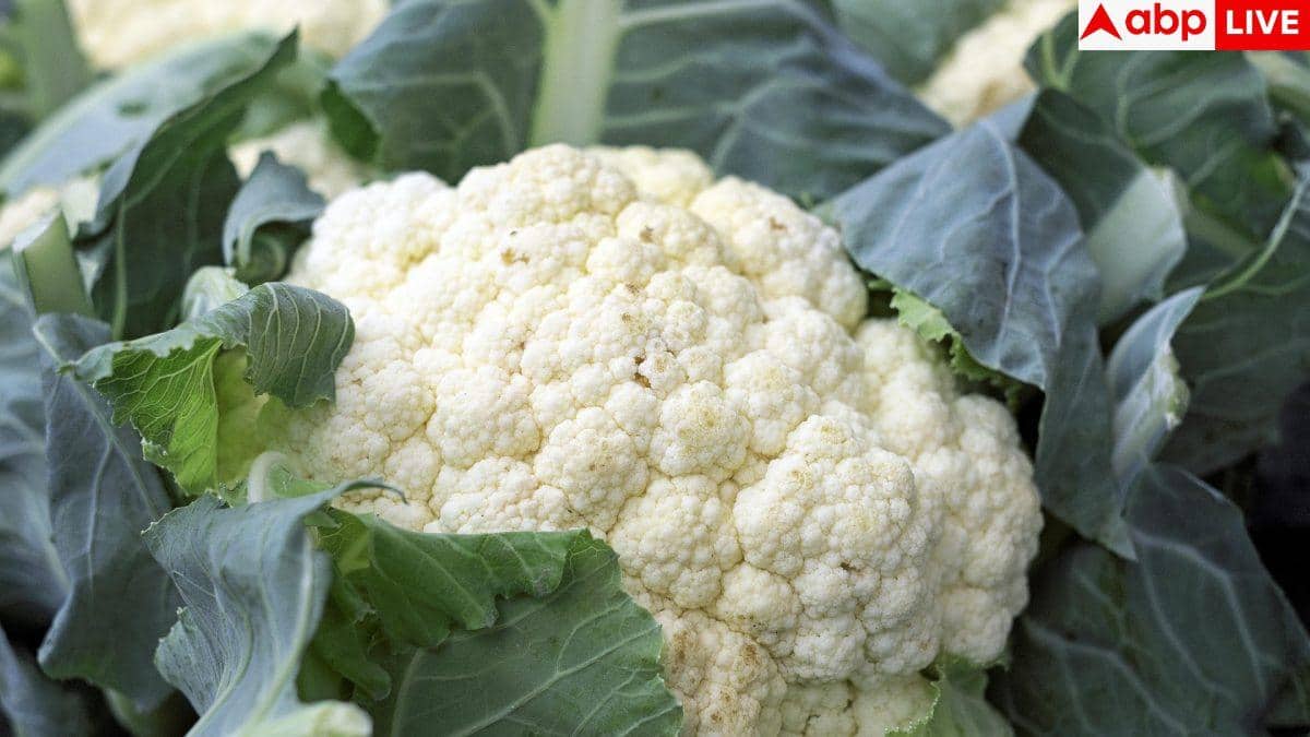 Cauliflower Leaves: फूलगोभी की डंठल में होते हैं इतने विटामिन, 99% महिलाएं फेंक देती हैं इसे