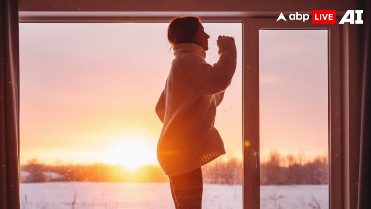 (Image Source: ABPLIVE AI)