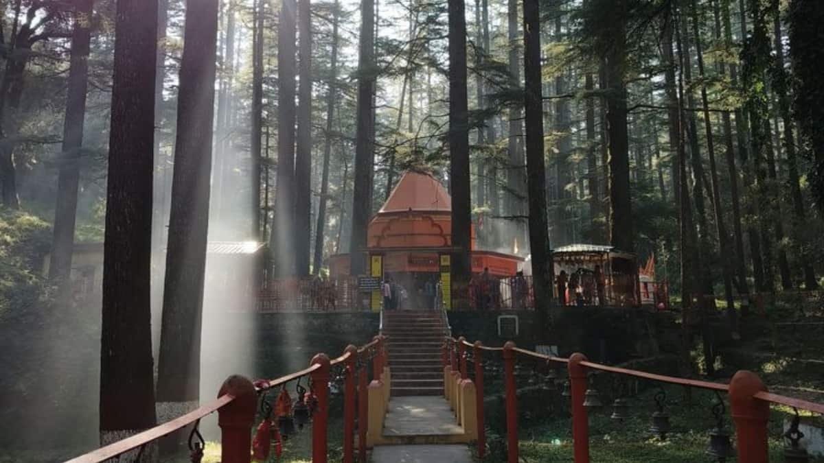 (Image Source: Pinterest/yuolognin)