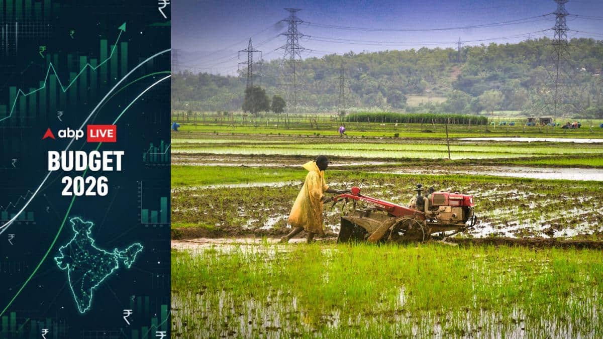 Budget 2026 Expectations: Farmers Seek MSP Guarantee As Govt Faces Post-Farm Laws Trust Deficit