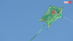 Makar Sankranti 2026: पाकिस्तान में क्यों क्राइम है पतंगबाजी, पतंग उड़ाने वालों को यहां हो जाती है जेल