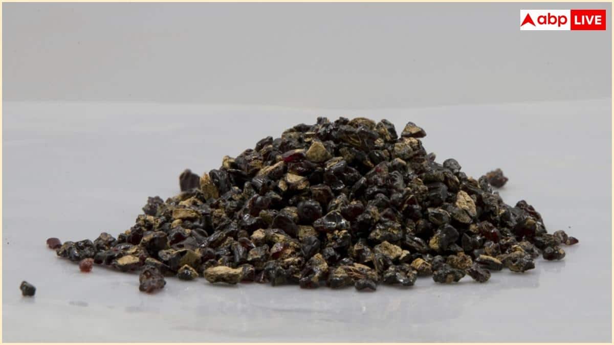 पलाश के पेड़ से निकलने वाला लाल गोंद कितना मददगार, शरीर को कैसे देता है पोषण?