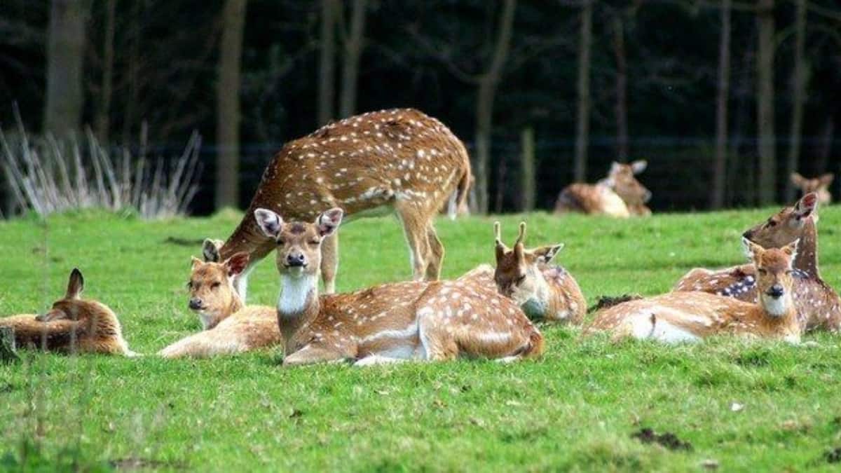 (Image Source: Pinterest/asmitakale)