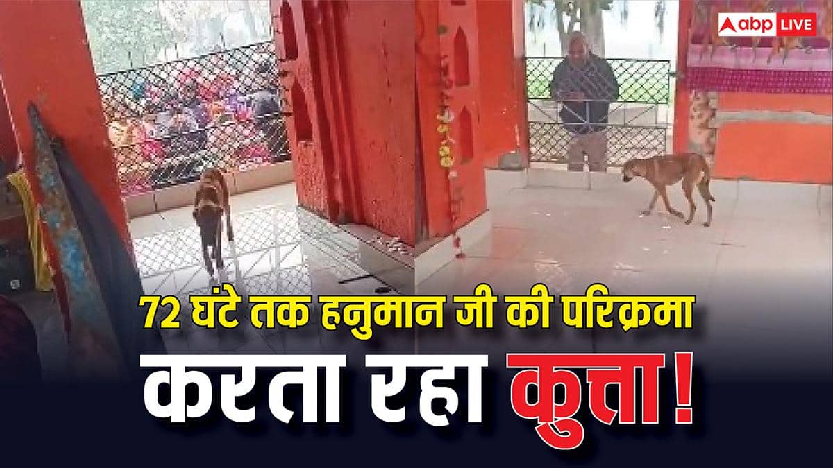 हनुमान जी की मूर्ति के चक्कर लगाते कुत्ते का वीडियो वायरल, लोगों ने भैरव बाबा का अवतार बताया
