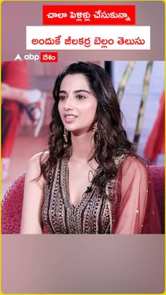 చాలా పెళ్లిళ్లు చేసుకున్నా అందుకే జీలకర్ర బెల్లం తెలుసు