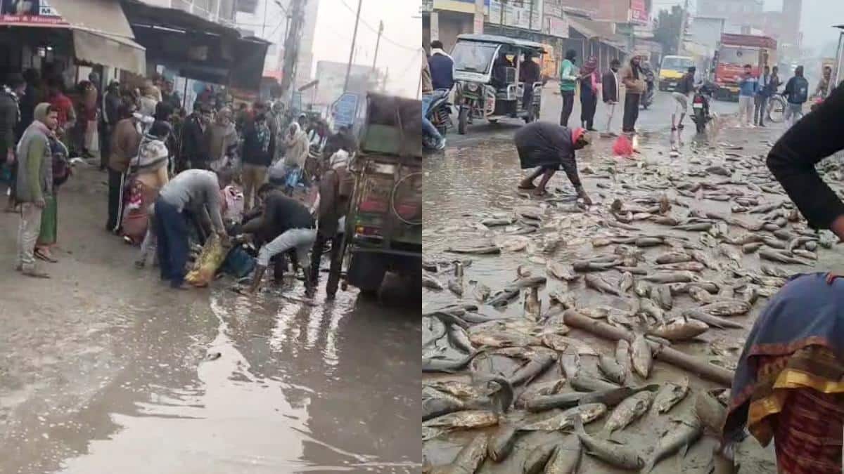 बिहार: सड़क हादसे में किशोर की मौत, शव को छोड़कर मछली लूटने लगे लोग, सीतामढ़ी की घटना