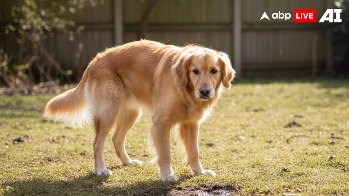 (Image Source: ABPLIVE AI)