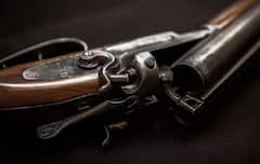 Gun License:  એક વ્યક્તિને કેટલા ગન લાઈસન્સ મળી શકે છે, જાણો શું કહે છે તેનો કાયદો?