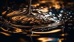 किस देश की धरती से निकलता है काला सोना? यहां जमीन से बरसती है दौलत ही दौलत