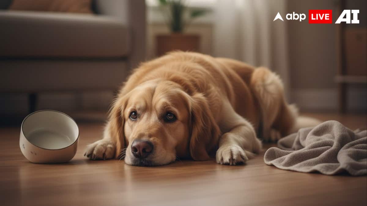 (Image Source: ABPLIVE AI)