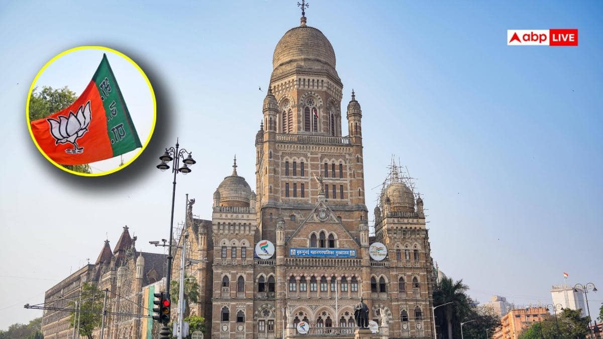 The Art of Baking: From Classic Bread to Artisan Pastries