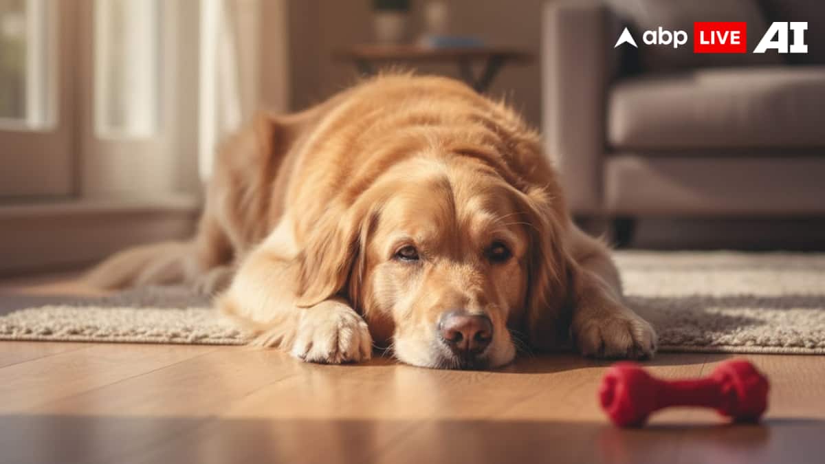 (Image Source: ABPLIVE AI)