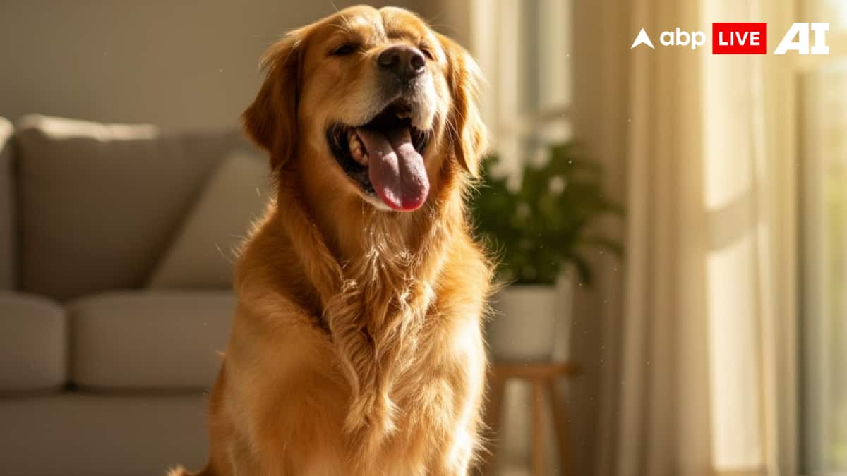 (Image Source: ABPLIVE AI)