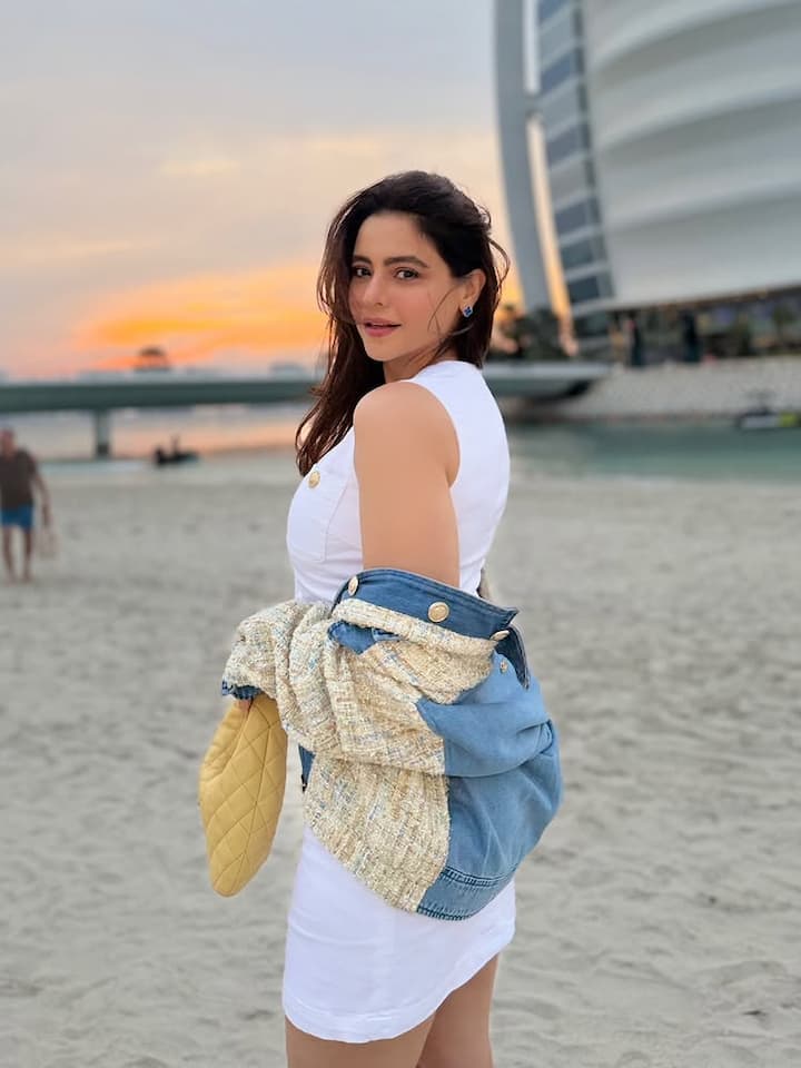 आमना शरीफ ने अपने इंस्टाग्राम अकाउंट पर अपनी लेटेस्ट तस्वीरें शेयर की हैं। इन तस्वीरों में अभिनेत्री की खूबसूरती और बोल्ड स्टाइल देखने को मिल रहा है।