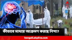 সরাসরি মস্তিষ্কে থাবা, বিকল করে দিচ্ছে স্নায়ু, কীভাবে খাদের কিনারে ঠেলে দিচ্ছে নিপা! বাঁচার আশার কতটা?