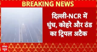Weather Alert: Triple Attack of Fog, Cold and Pollution Disrupts Life Across Delhi NCR, Visibility Drops to Zero