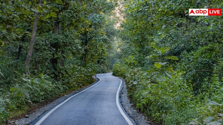 चकराता एक सामान्य टूरिस्ट डेस्टिनेशन नहीं, बल्कि सेना के नियंत्रण वाला कैंटोनमेंट एरिया है. इसी वजह से यहां विदेशी नागरिकों की एंट्री पर रोक है और केवल भारतीय नागरिकों को ही प्रवेश की अनुमति मिलती है.
