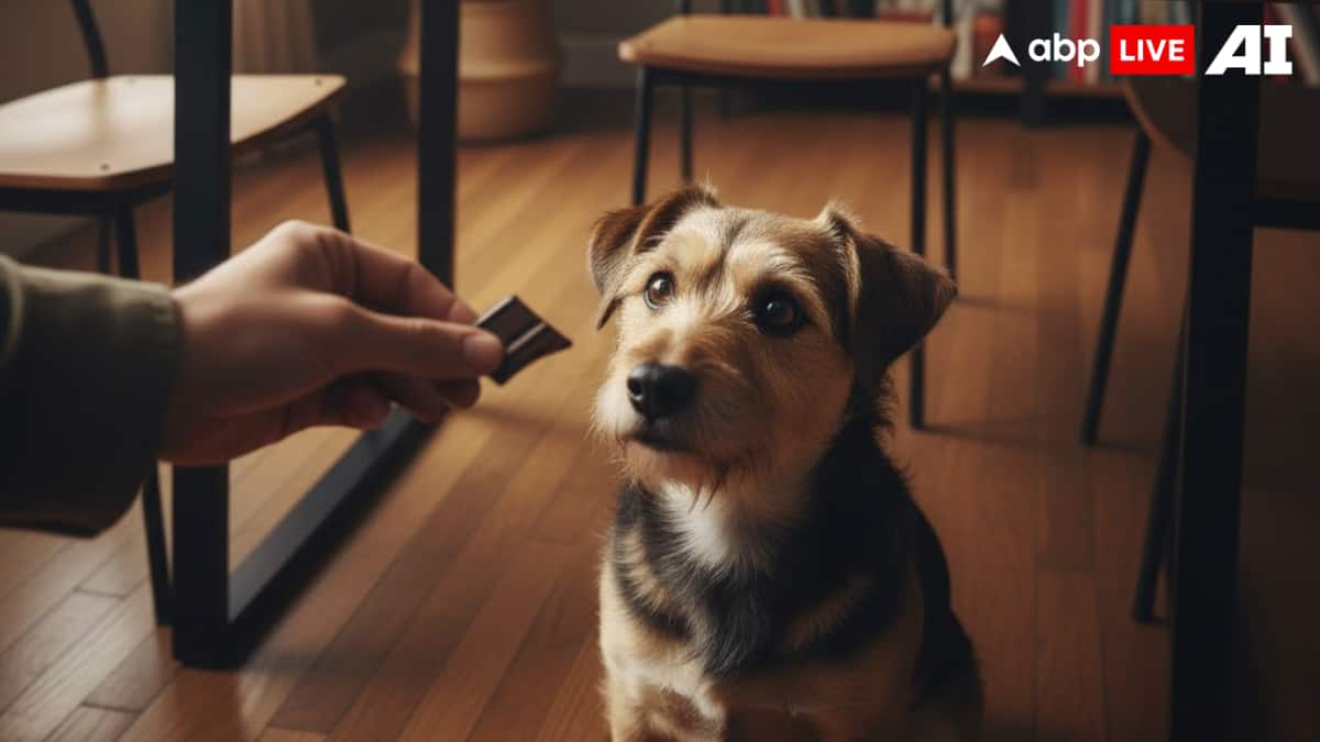 (Image Source: ABPLIVE AI)