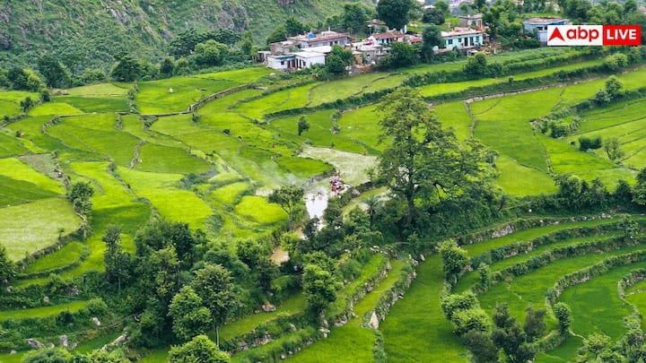 देहरादून से करीब 90 किलोमीटर दूर स्थित इस हिल स्टेशन को हाई-सिक्योरिटी जोन माना जाता है. उत्तराखंड पर्यटन वेबसाइट के अनुसार, विदेशी पर्यटक केवल कालसी तक ही जा सकते हैं और आगे जाने के लिए विशेष सैन्य अनुमति जरूरी होती है.