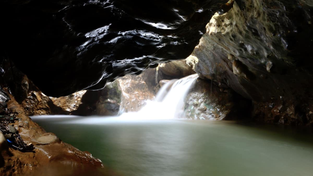 (Image Source: Twitter/@KumarAbhishekIn)