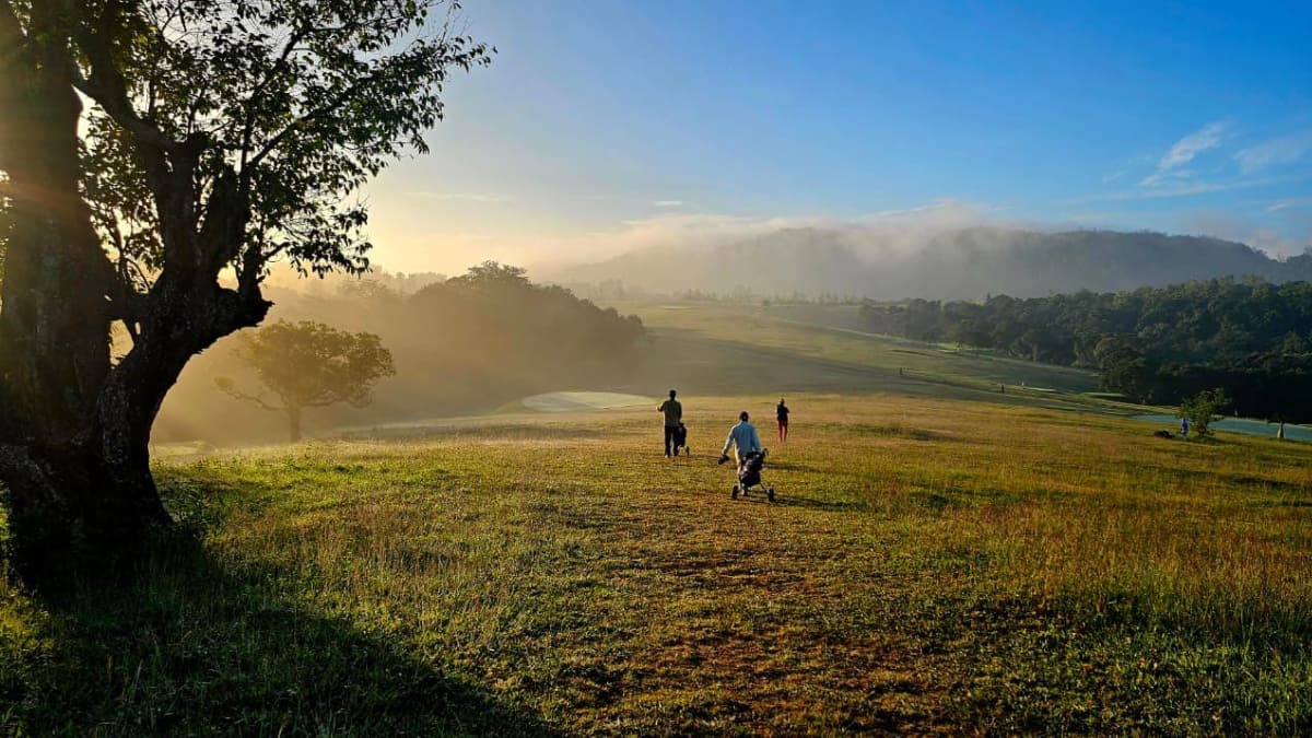 (Image Source: Twitter/@kod_har)